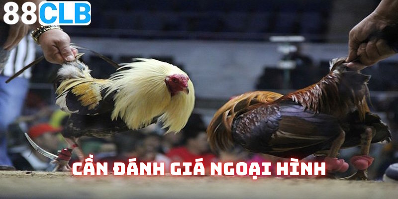 Bạn cần đánh giá ngoại hình trước khi vào tiền