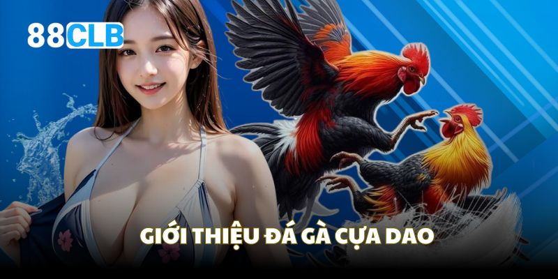 Giới thiệu về sảnh chơi đá gà cựa dao 88CLB