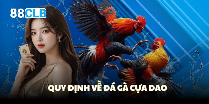 Quy định chung cho các trận đấu chọi kê cựa dao